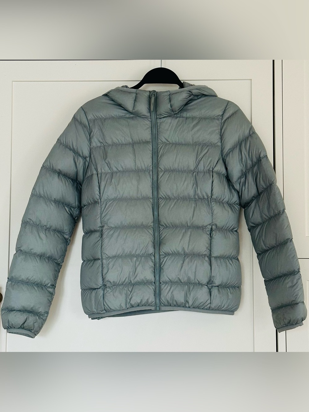 Aritzia TNA Little Puff Hooded Jacket (Size XS)